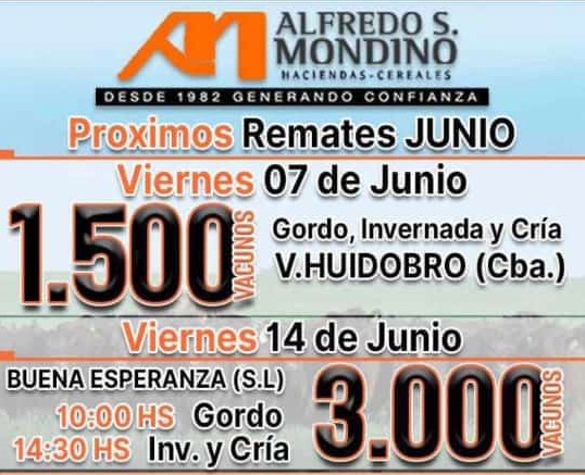 06 - 06 - mondino en Villa Huidobro