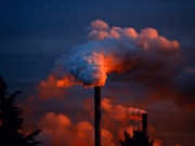 El debate mundial sobre medio ambiente en 2019 será en China