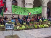 Respuestas colectivas al problema del acceso a los alimentos