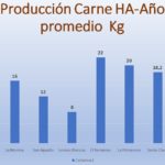 11 – 06 – Gamo – Página 22