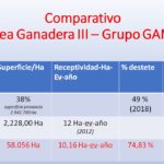 11 – 06 – Gamo – pág 13