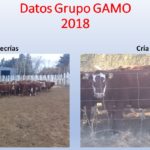 11 – 06 – Gamo – pág 14