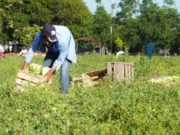 El ajuste afectó al sector del campo más vulnerable