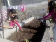 La Comuna Villamercedina avanza con el programa Huertas