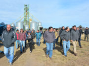 San Luis: esperan un fuerte impacto productivo, comercial y ambiental con el Plan Integral de Alfalfa