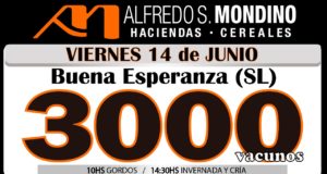 Mañana, remate de Mondino en Buena Esperanza