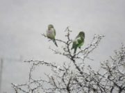 Finde invernal en San Luis, con probables nevadas en las zonas serranas