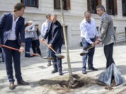 La Dirección de Desarrollo Forestal está paralizada por despidos