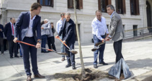La Dirección de Desarrollo Forestal está paralizada por despidos