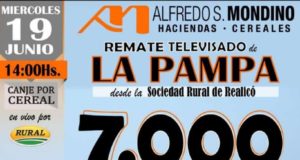 Mondino remata hoy 7 mil por televisión