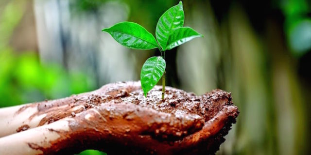21 - 06 - biodiversidad