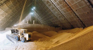 La molienda de soja es mucho más baja que la producción