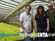 Reciclan rastrojos de tomate y pimiento para nutrir el suelo