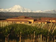 Bodegas buscan protección en los acuerdos con la Unión Europea