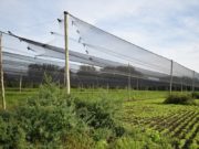 Córdoba: Productores reciben aportes para instalación de mallas antrigranizo