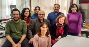 Harina de soja: sugieren que podría prevenir el daño cardíaco en personas expuestas a un metal tóxico