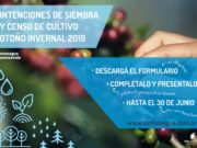 San Luis: hasta el 30 de junio se pueden presentar intenciones de siembra y censo de cultivo otoño – invernal