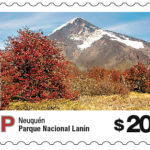 PN_LANIN