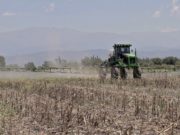 Productos fitosanitarios: suspensión preventiva del herbicida Wenko NT