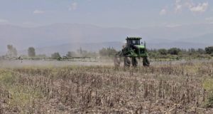 Productos fitosanitarios: suspensión preventiva del herbicida Wenko NT