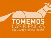Recomendaciones de control y prevención de la anemia infecciosa equina
