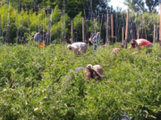 Ley de semillas: la Universidad fortalece el diálogo con los productores