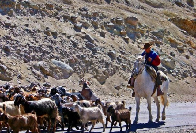 01 - 07 - crianceros de mendoza