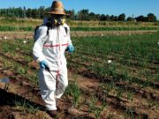 Criollo Mochilas, una APP para la horticultura