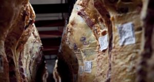 Secuestraron más de 5 mil reses por faena de animales livianos