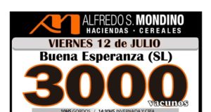 Viernes 12, remate de Mondino en Buena Esperanza