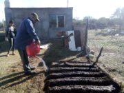 Sigue el programa de huertas familiares en Villa Mercedes
