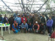 Productores de Mendoza son los primeros en tener el sello de la Agricultura Familiar