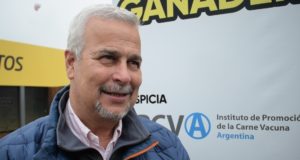 Torelli de IPCVA: “El desafío es llevar a los animales a un peso superior “