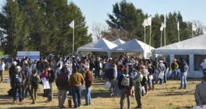 Jornada a campo del IPCVA en General Alvear el 8 de agosto