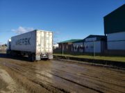 Argentina realiza la primera exportación de cordero a Japón