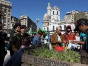 La inseguridad alimentaria en la Argentina afecta a más de 14 millones de personas