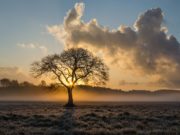 Cuyo tendrá temperaturas normales o superiores para el trimestre