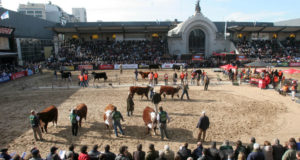 Alfredo Mondino remata hoy por TV desde la Rural de Palermo