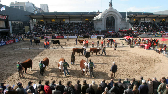30 - 07 - sociedad rural