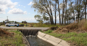 San Luis: cortarán por dos semanas el canal matriz Renca-Santa Rosa por tareas de limpieza