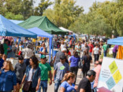 La Feria de Pequeños y Medianos Productores vuelve este sábado a Villa Mercedes