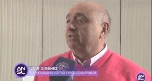 San Luis: detectan fallas en los controles del frigorífico de La Punilla sobre los cerdos contaminados con triquinosis