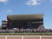 San Luis: el Hipódromo La Punta realizará carreras oficiales de caballos cuarto de milla