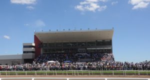 San Luis: el Hipódromo La Punta realizará carreras oficiales de caballos cuarto de milla