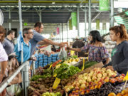 Las enfermedades transmitidas por alimentos pueden comprometer la salud