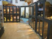 Geólogos de San Luis estrechan vínculos con el Museo Paleontológico Legado del Salado