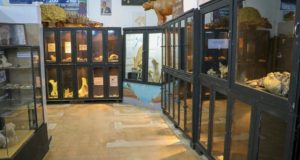 Geólogos de San Luis estrechan vínculos con el Museo Paleontológico Legado del Salado