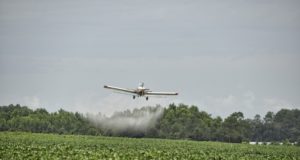 Por un modelo agropecuario sin agrotóxicos