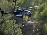 Greenpeace denuncia desmonte descontrolado en la región chaqueña