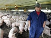 Los farmers vuelven a quedar en medio de la disputa entre China y Estados Unidos